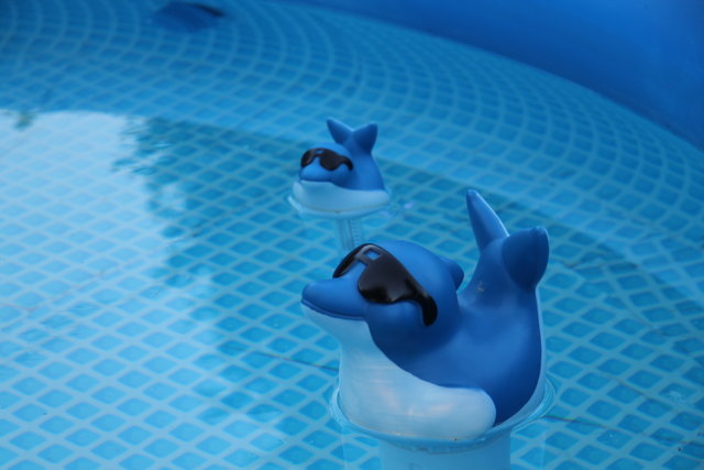 Cool im Pool :-)