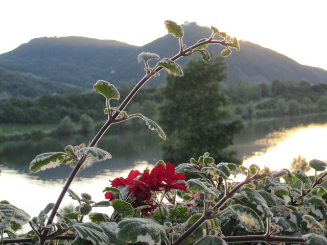 Abendstimmung