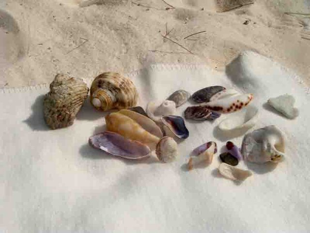 Sommer, Sand, Strand..