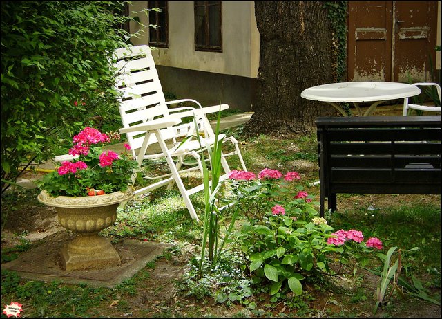 Sommer im Hinterhof