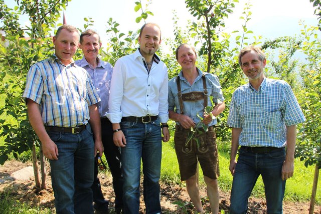 Elmar Monz (Bezirkskammerobmann), Andrä Neururer (Bezirksstellenleiter) und LK-Präsident Josef Hechenberger begutachten die Anbaufelder der „Stanzer Zwetschke“ von Stefan Nothdurfter zusammen mit LK-Direktor Richard Norz. | Foto: LK Tirol/Schießling