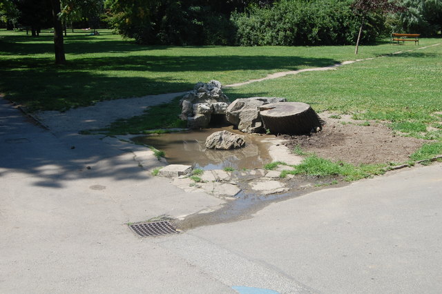 Die nicht sehr hygienische Wasserstelle vor der Hundezone.