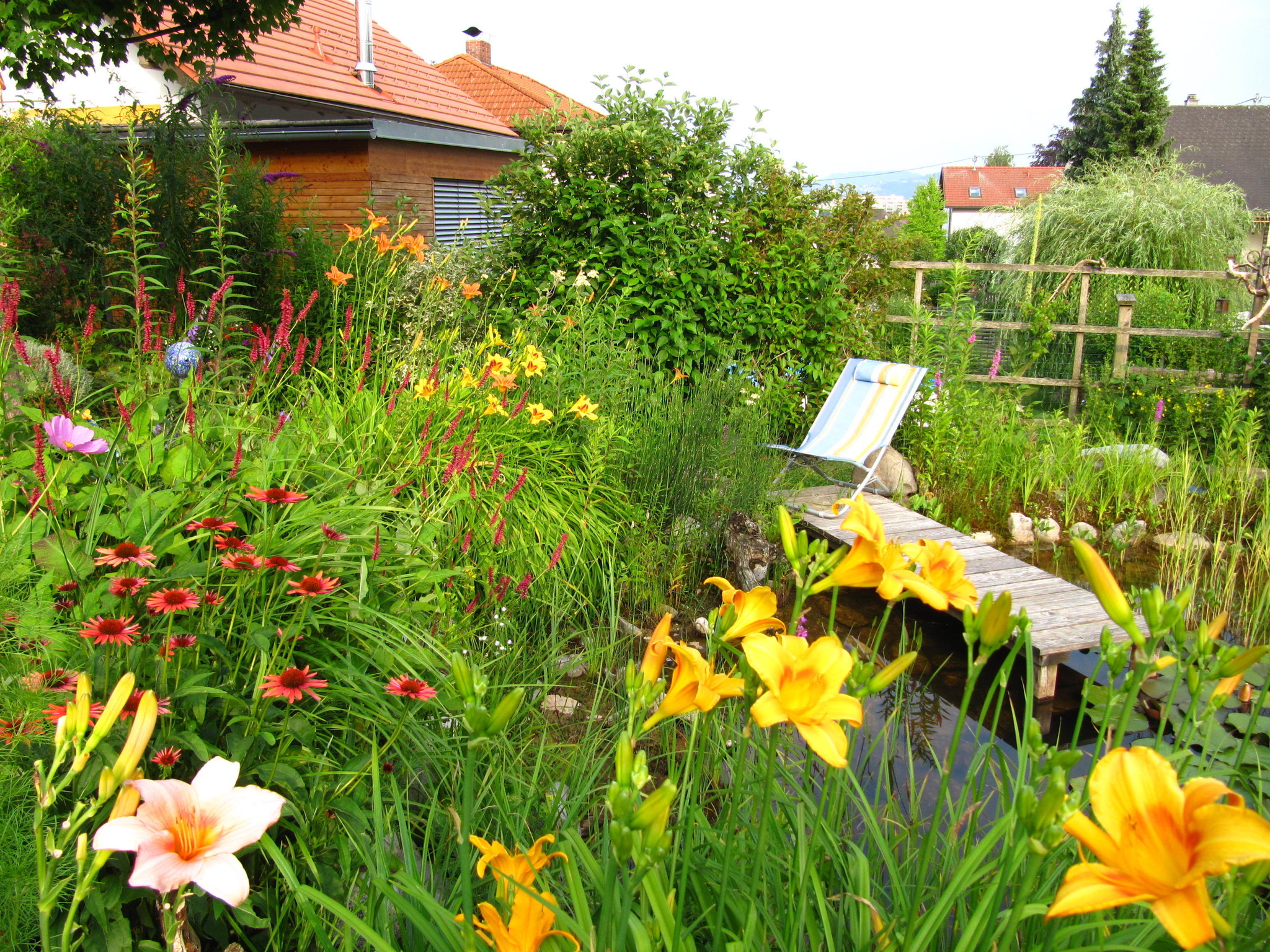 Sommer am Gartenteich Steyr & Steyr Land