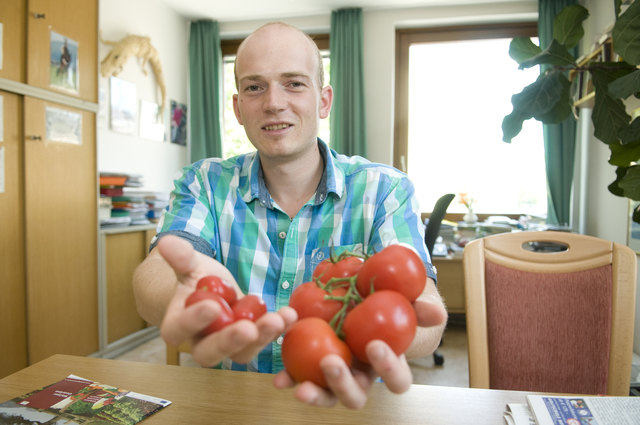 Cocktail-, Rispen- oder Fleischtomate: "Es gibt hunderte verschiedene Sorten", weiß Experte Josef Putz.