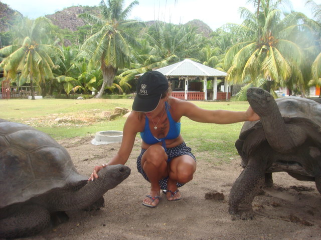 Seychellen Schildkröten