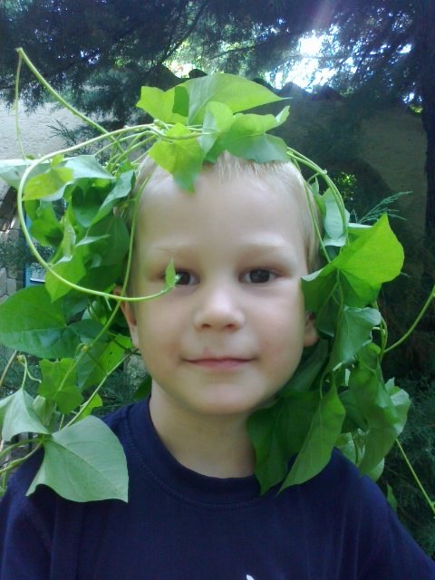 Waldschratt