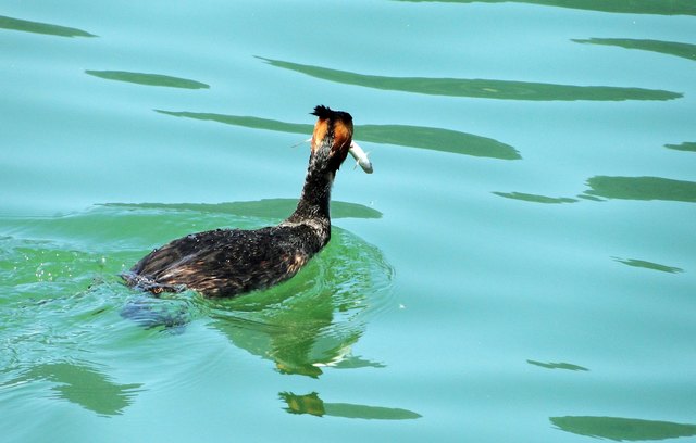 Das ist mal einer für die kleine