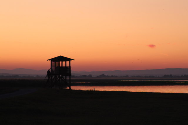 Sommersonnenuntergang Lange Lacke / Seewinkel