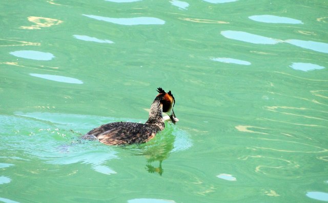 Nochmals richten um ordendlich servieren zu können