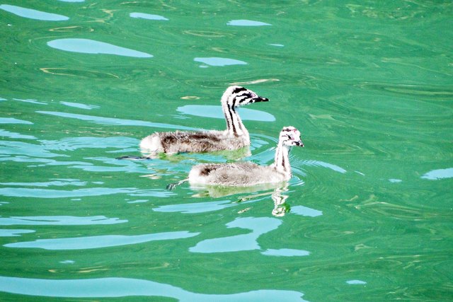 und euch beiden etwas zu bringen.