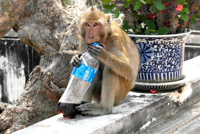 Wie bekomme ich bloß die Flasche auf?