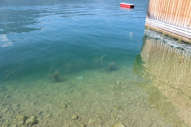 Sommer,Sonne,Wolfgangsee....ist doch erfrischend!
