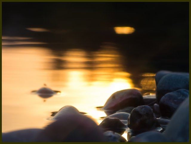 der Sonnenuntergang im Wasser