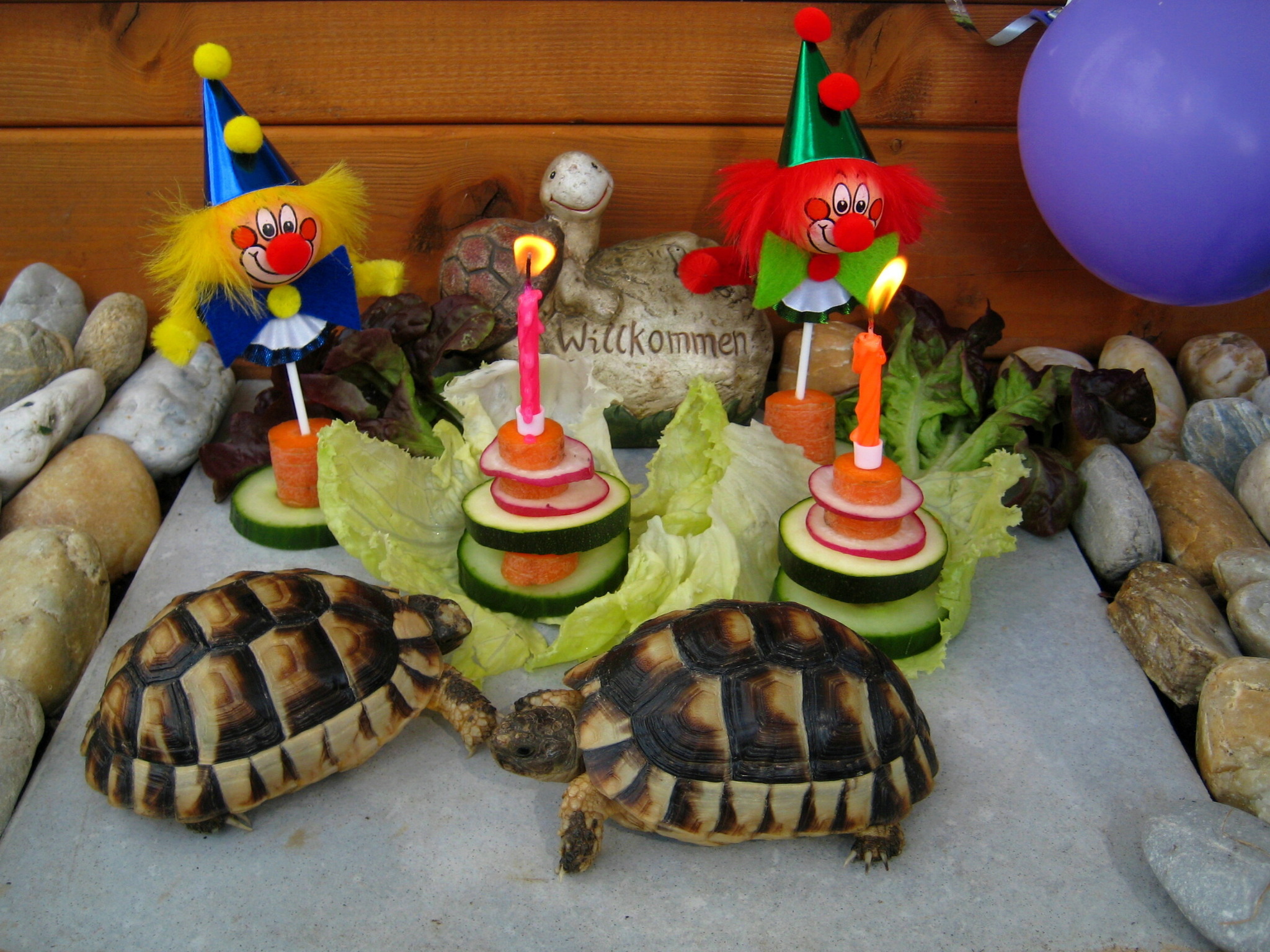 30 Stück Teenage Mutant Ninja Turtles Goodie-Boxen – Party-Geschenkboxen Ca. 16x9,5x8,2 Cm | Zum Befüllen Mit Süßigkeiten