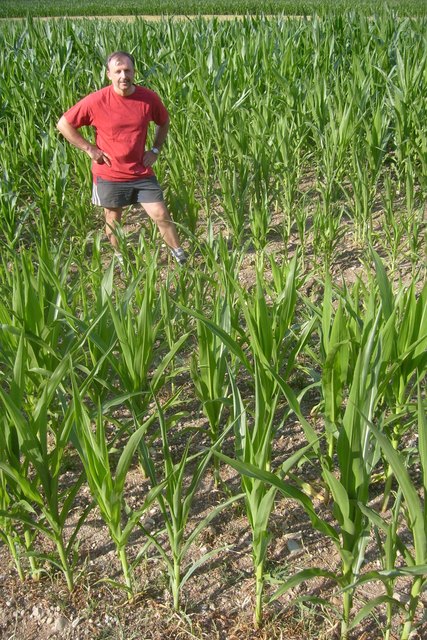Bangt um seinen Mais: Landwirt Franz Berger aus Einöde | Foto: KK