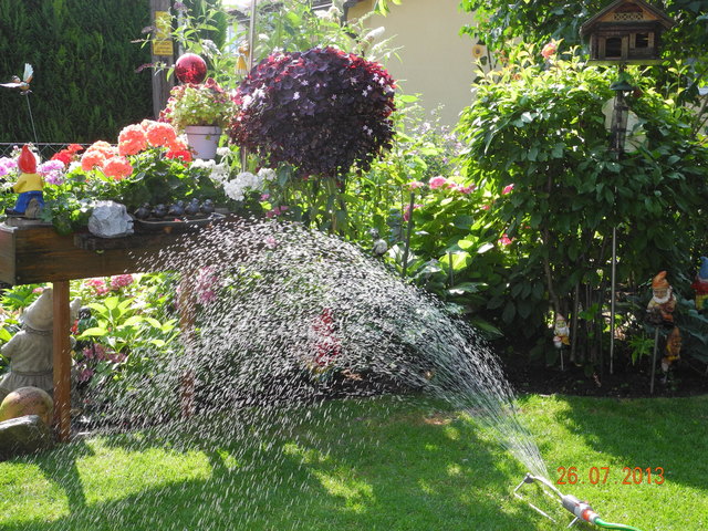 Wasser für die Natur