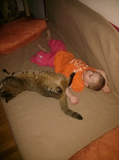 Siesta