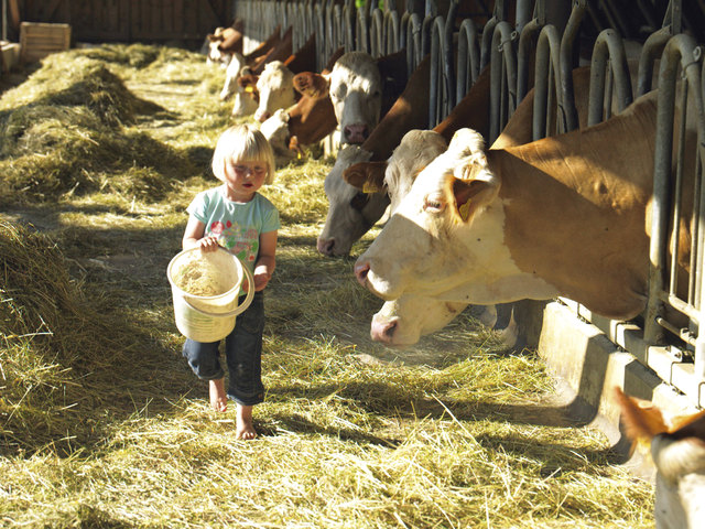 Bio-Heumlich soll im Mühlviertel wieder verstärkt produziert werden. | Foto: Foto: privat