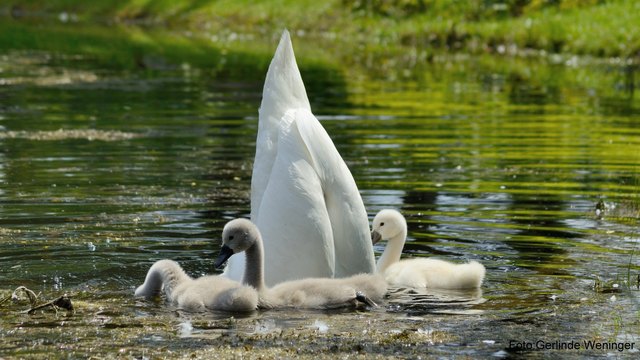 Der Eisberg im Wasserpark ;-)