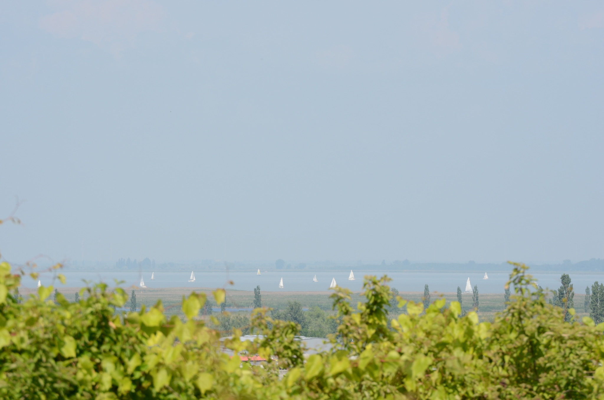 Willkommen am einzigen Steppensee Österreichs, dem Neusiedler See