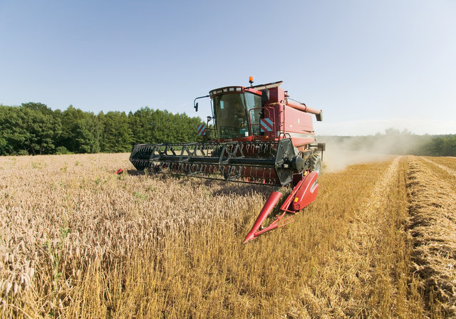 Landwirte im Bezirk Spittal verzeichnen aufgrund der Trockenheit enorme Ernteeinbußen | Foto: RMA