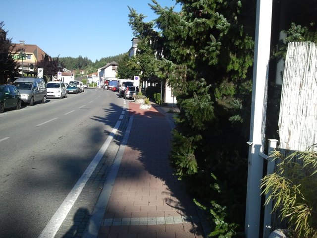 Vorher: Eingeschränkte Nutzung des Gehweges durch wuchernde Äste | Foto: KK