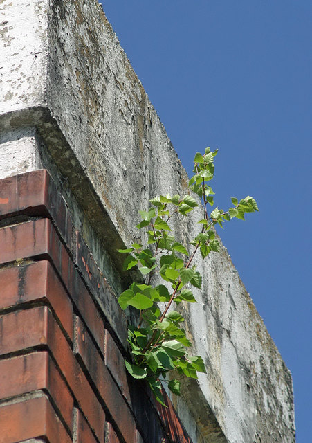 Fotostammtisch zum Thema "Natur trifft Industrie" in der Schotterhütte Haslach | Foto: Cupak