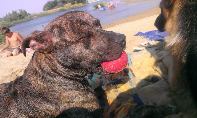 So ein Sommertag ist ganz schön anstrengend!