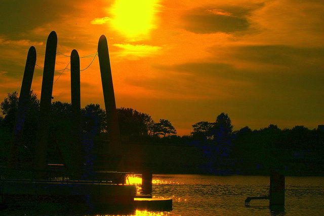 Sommerabend auf der Donauinsel