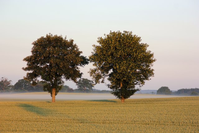 Morgenspaziergang