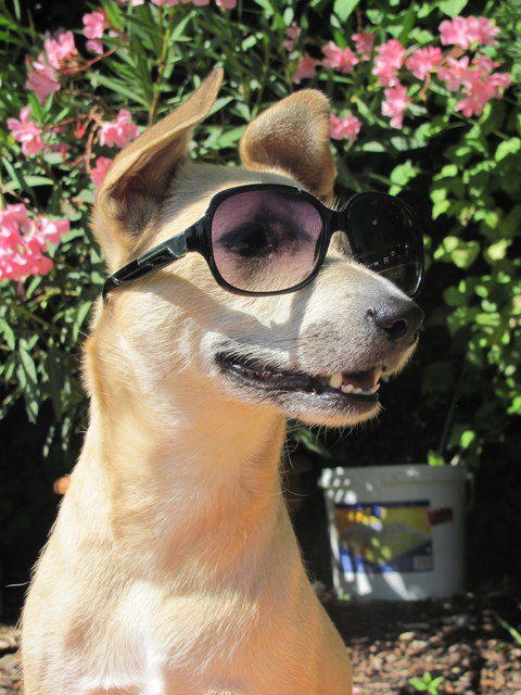 like a diva :)