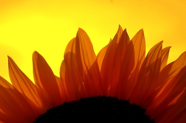 Die Sonne geht unter