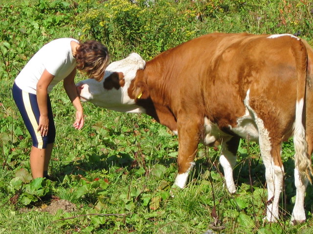 ein Küsschen in Ehren kann niemand verwehren