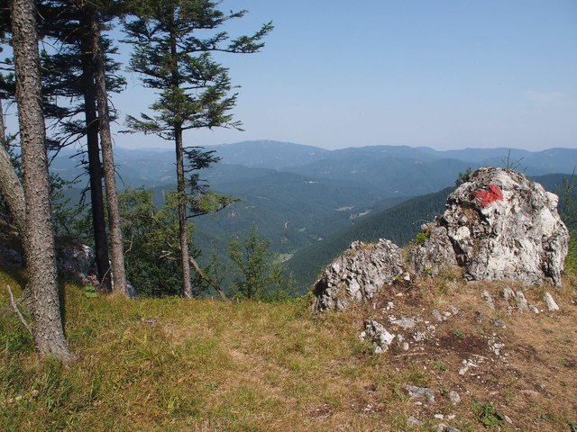 Auf der Dürren Wand, am Weg zum Öhler-Schutzhaus