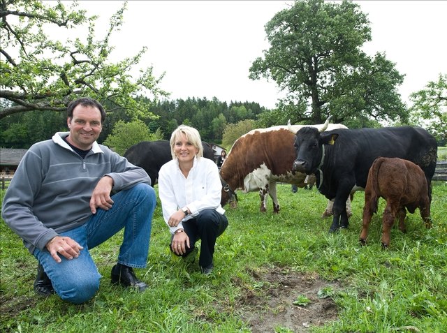 Vor neun Jahren startete der Verkauf von hochwertigem Tiroler Jungrindfleisch. Heute beteiligen sich rund 300 Tiroler Landwirte an dieser Vorzeigekooperation.