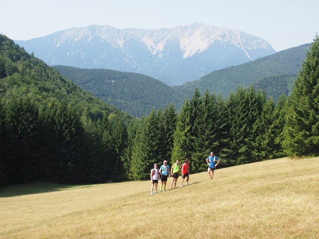 Trotz Trockenheit ein toller Ort - Kaisereben-Wiese mit Teilen des "Besichtigungsteams" und Schneeberg