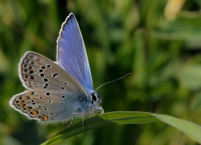 Foto: Falkmar Ameringer