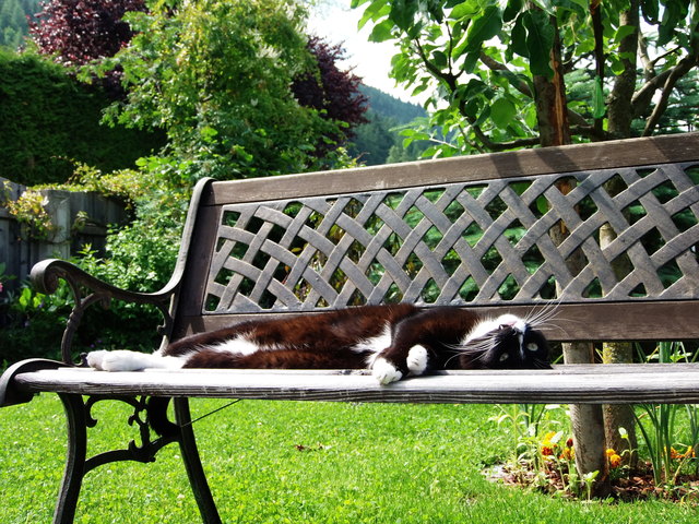 Foto: Klaus Pfefferle