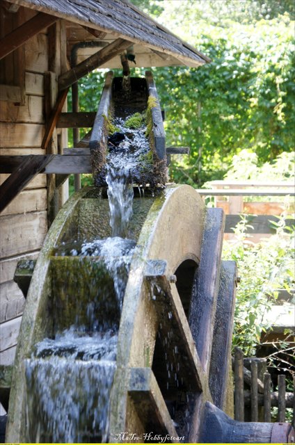 Foto: Markus Trenkwalder