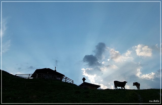 Foto: Bernadetta Kuppelwieser