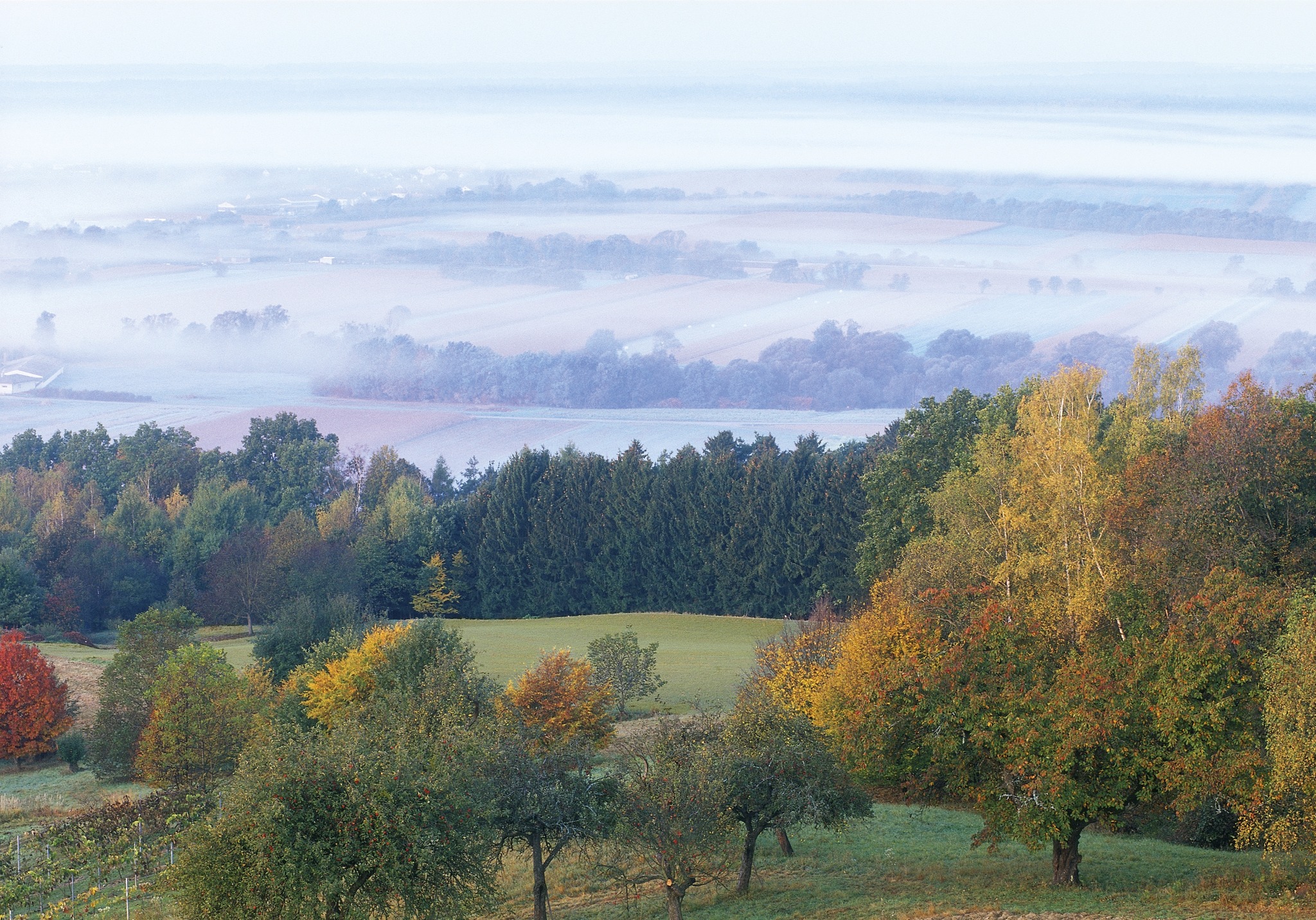 Alle Gemeindeämter des Bezirks Hollabrunn Hollabrunn