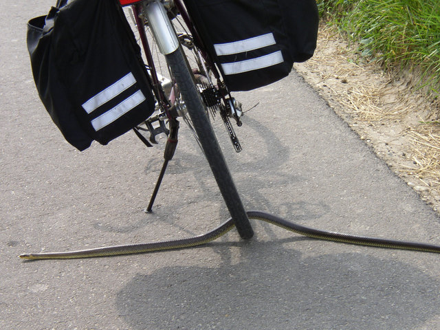 und wie soll ich jetzt weiterfahren?