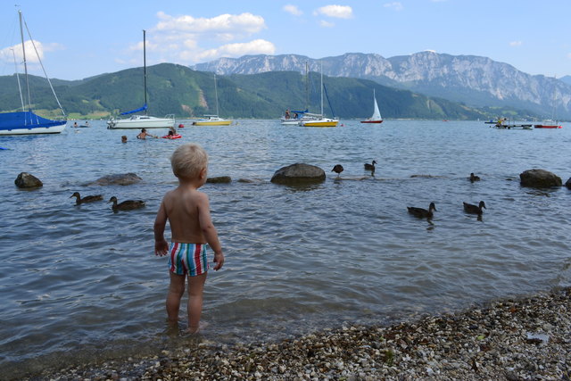 Staunend am See