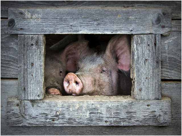 Foto: Tobias Oetzbrugger