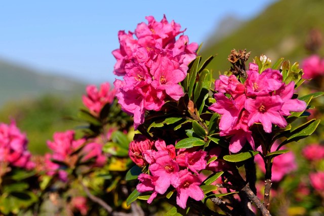 Foto: Katharina Hetzenauer