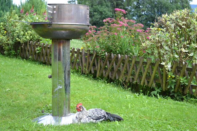 Grillhuhn