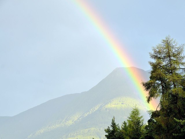 Foto: Elisabeth Fazel