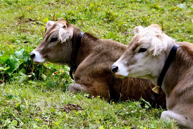 Foto: Katja Pedevilla