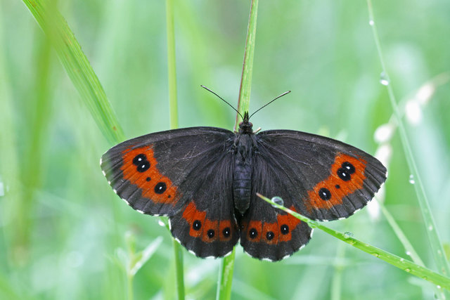 Foto: Maria Hirtreiter