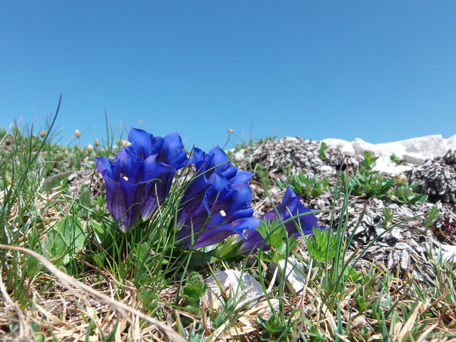 Foto: Thomas Unterladstätter